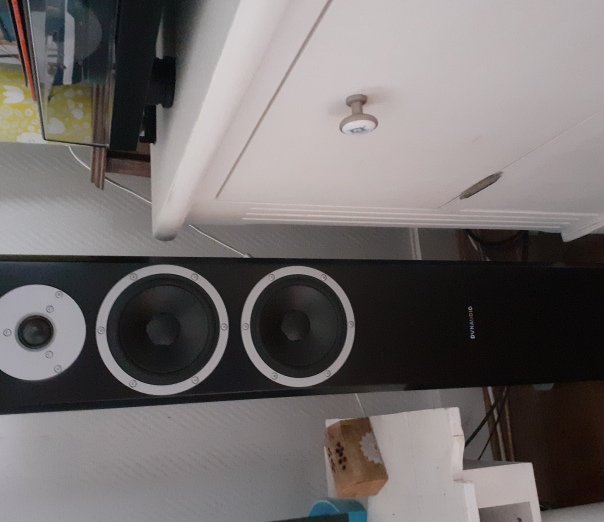 DYNAUDIO ディナウディオ EXCITE X34 トールボーイスピーカー
